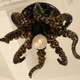 Illustration for article titled Tentacle Chandeliers (To Class Up the Place)